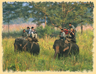Chitwan